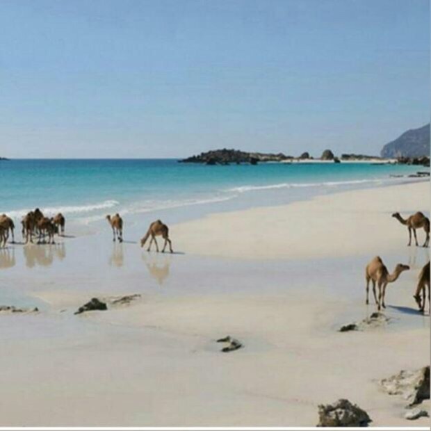 i-phone-2015 summer 013