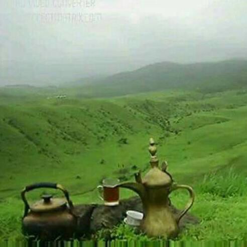 tea and mountain